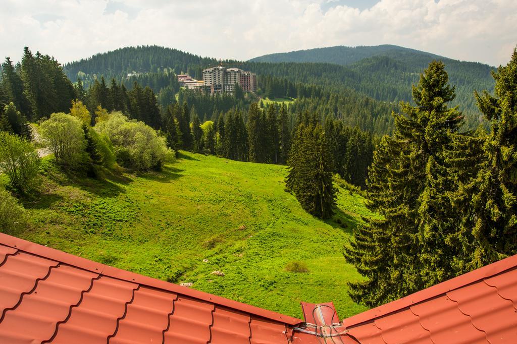 Snezhanka Hotel Pamporovo Dış mekan fotoğraf